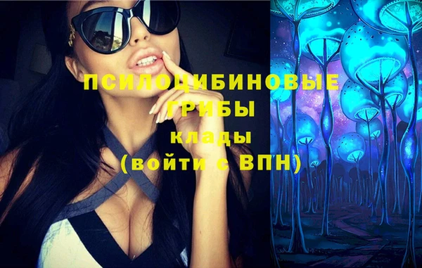 дурь Ладушкин