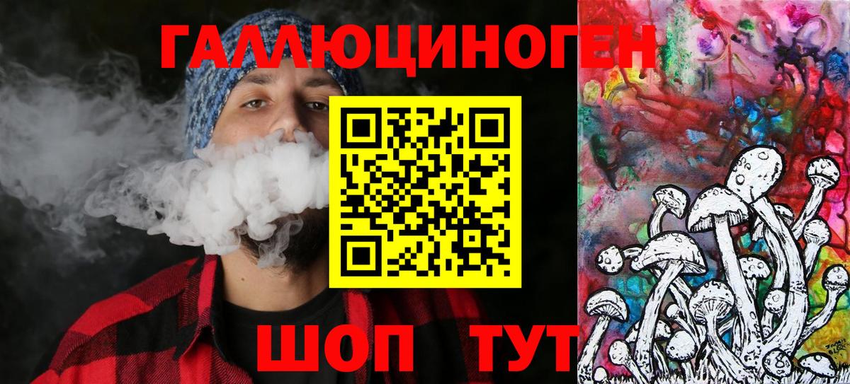 Галлюциногенные грибы Psilocybe  Галлюциногенные грибы Psilocybe  Абинск  Вход с VPN 